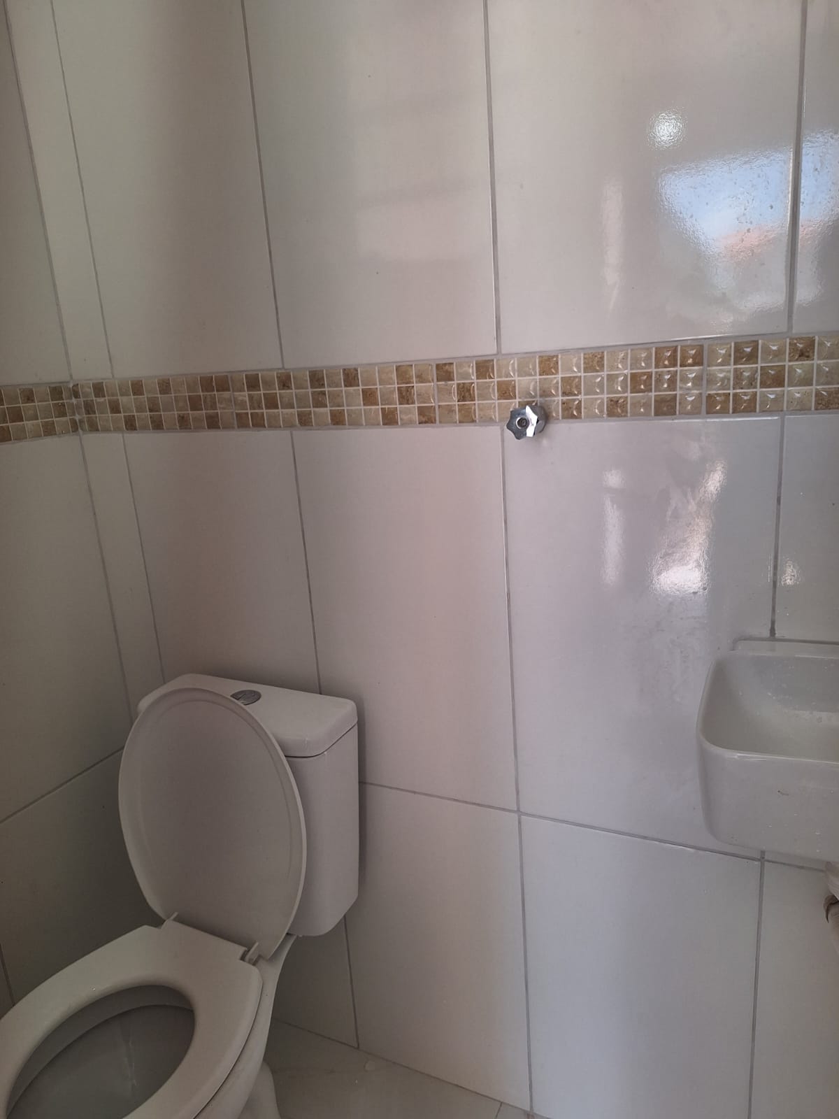 273147