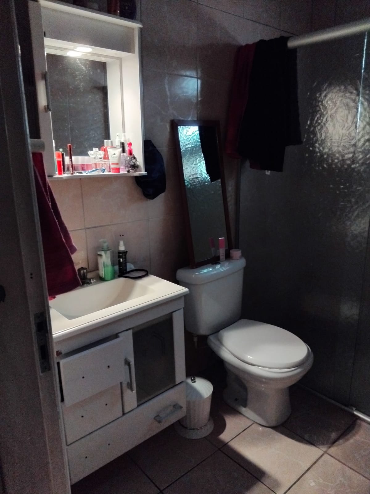276591