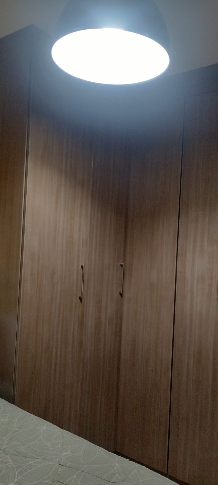 290410