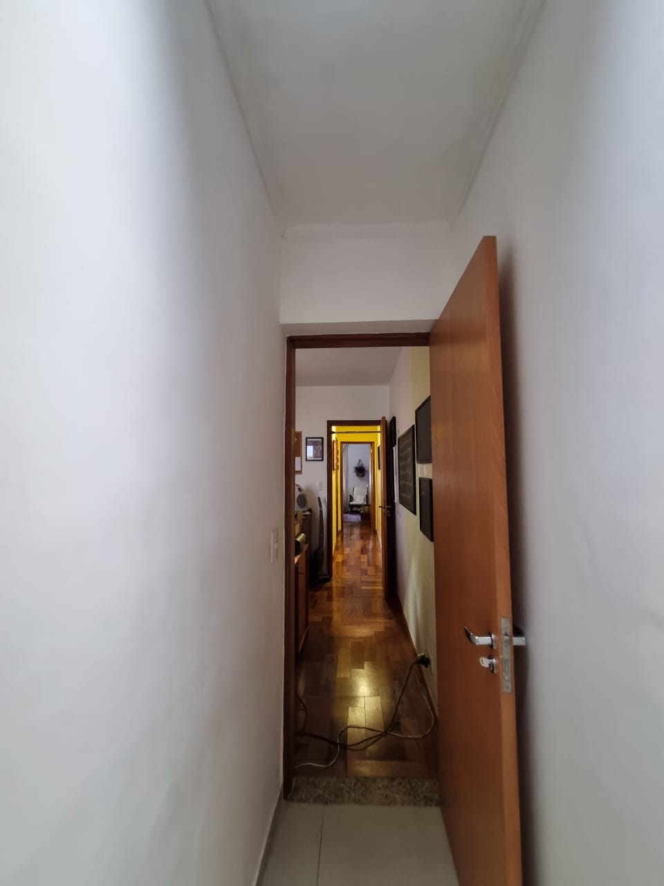 288541