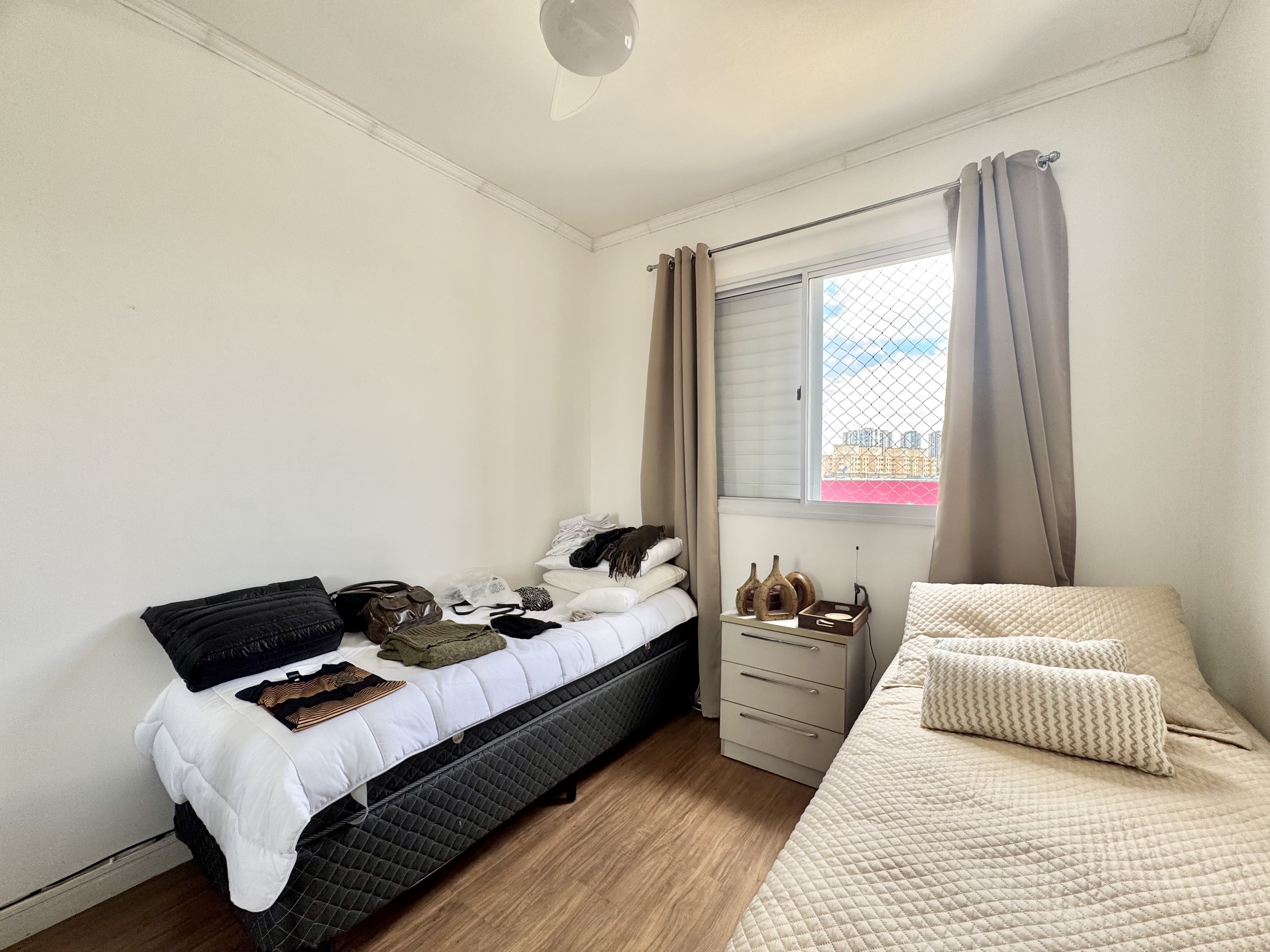 290033