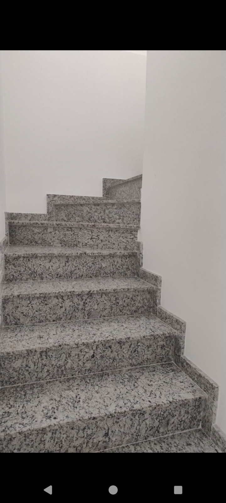 293198