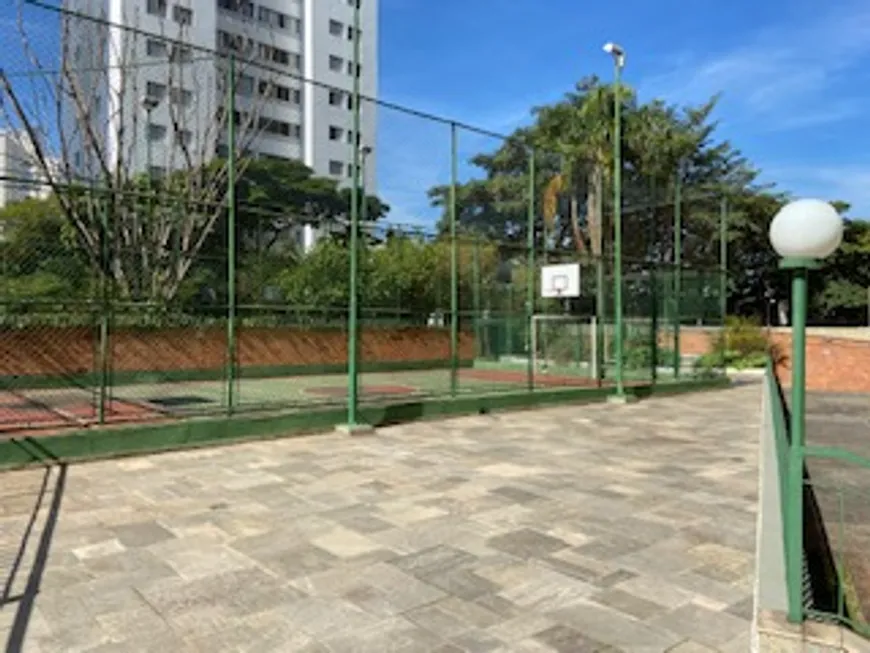 295552