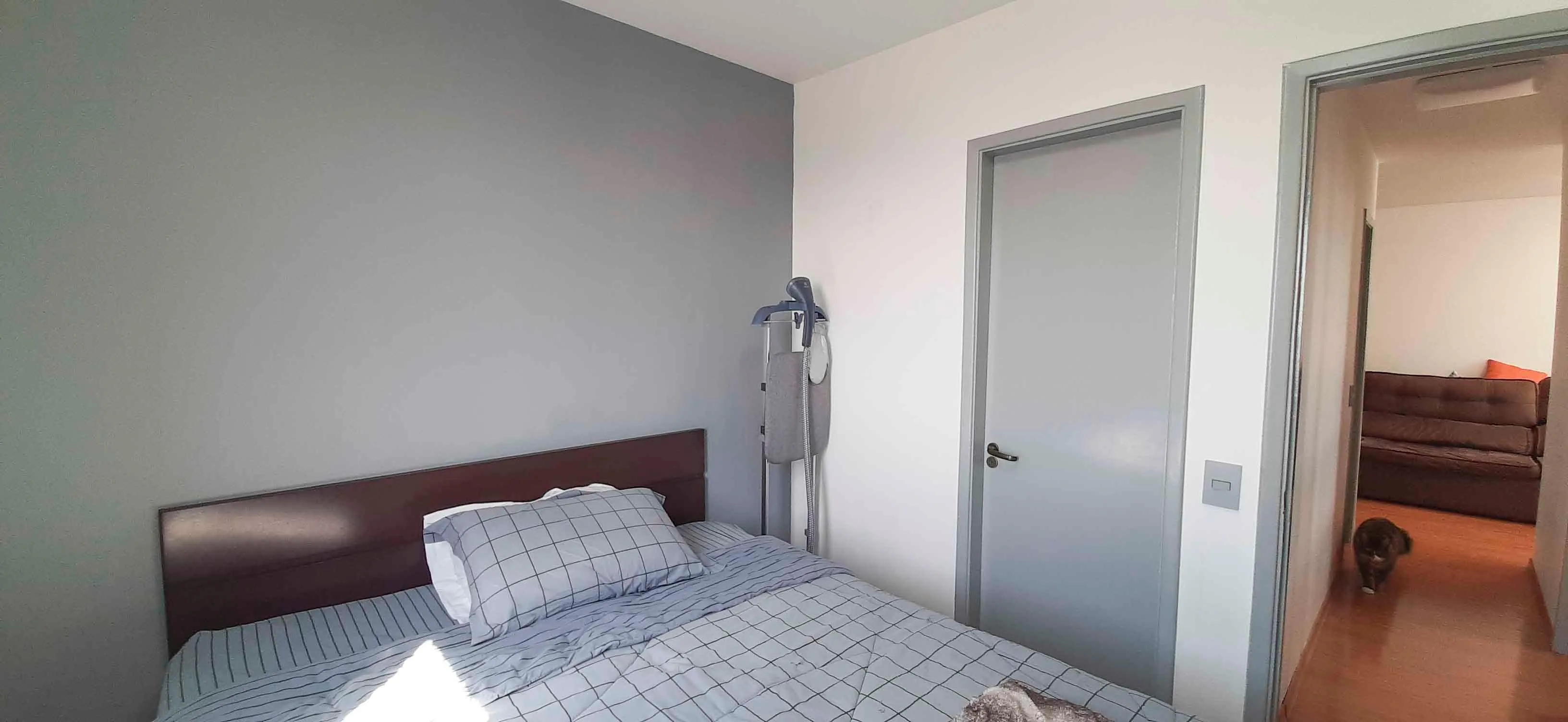 297254